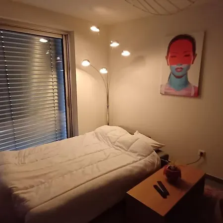 Centre En 15 Minutes Apartment Strasbourg